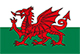 SGSS_Welsh_Flag_80